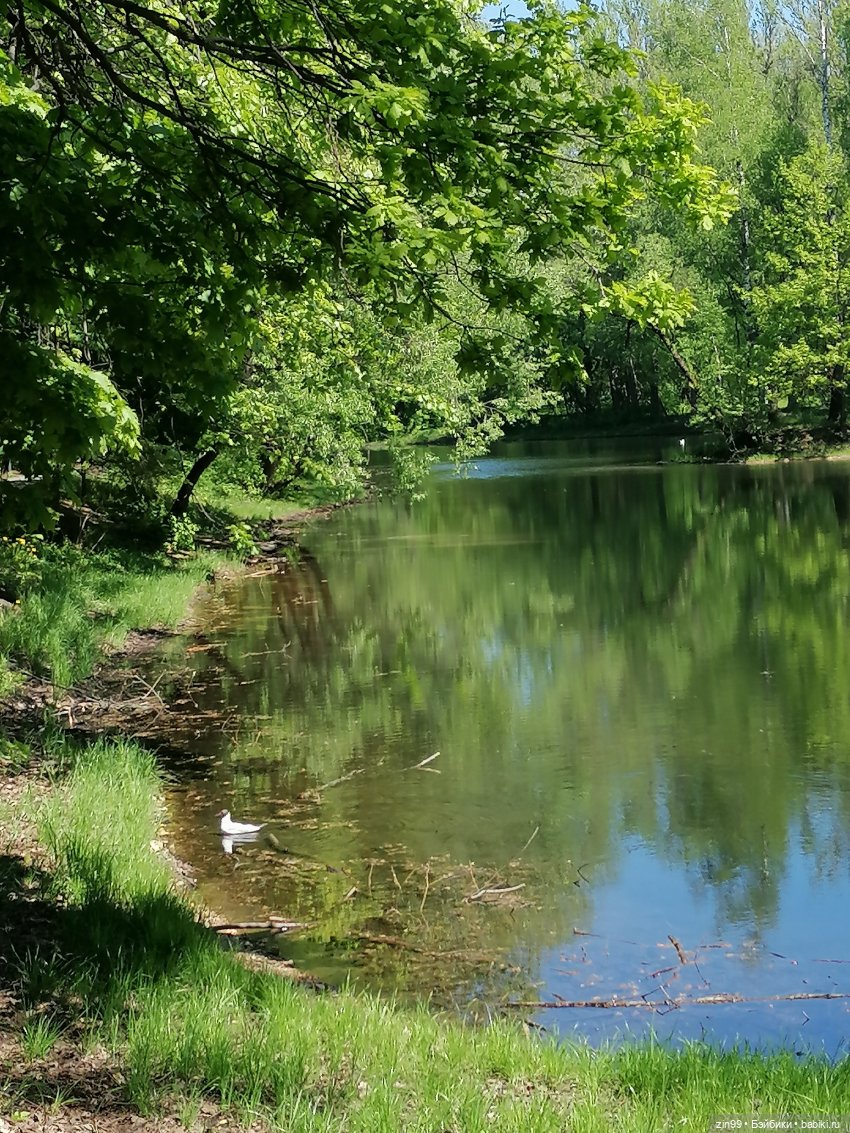 Прогулка с куклами Kidz'n'Cats (фото 2)