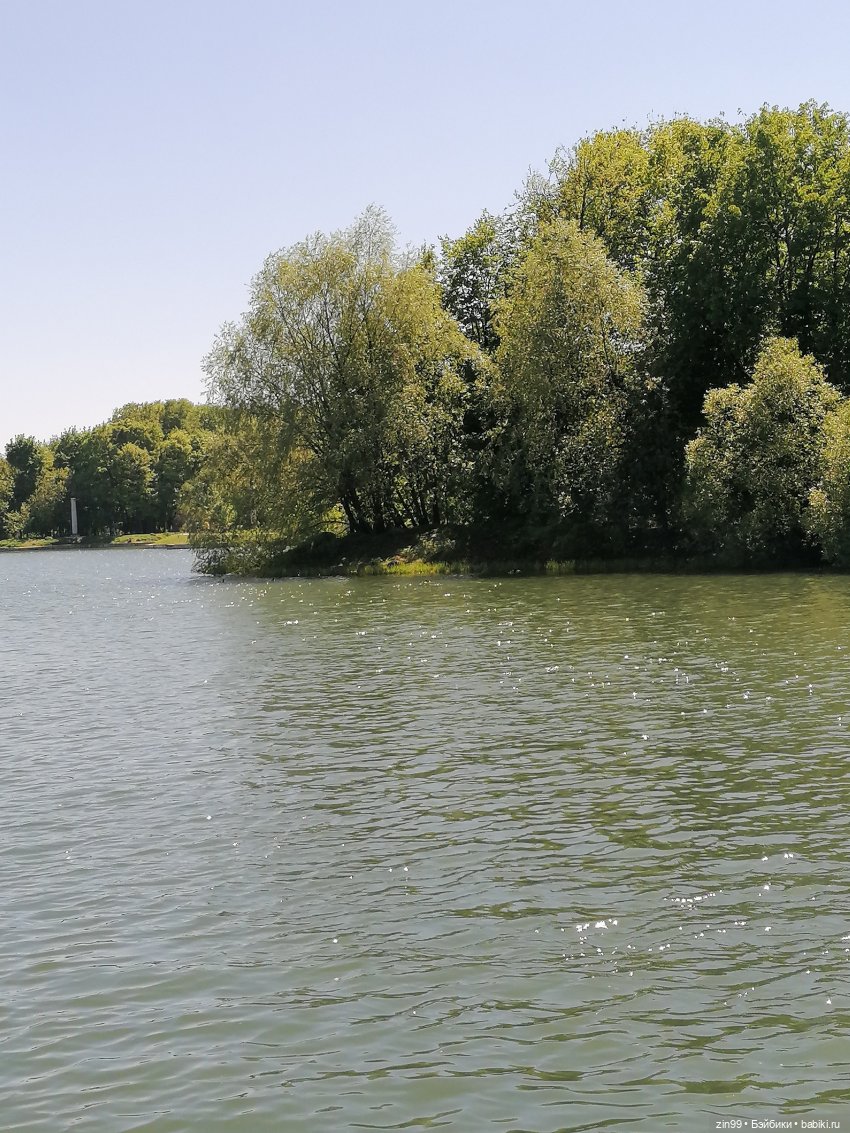 Прогулка с куклами Kidz'n'Cats