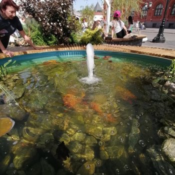 Рыбная неделя в Москве была