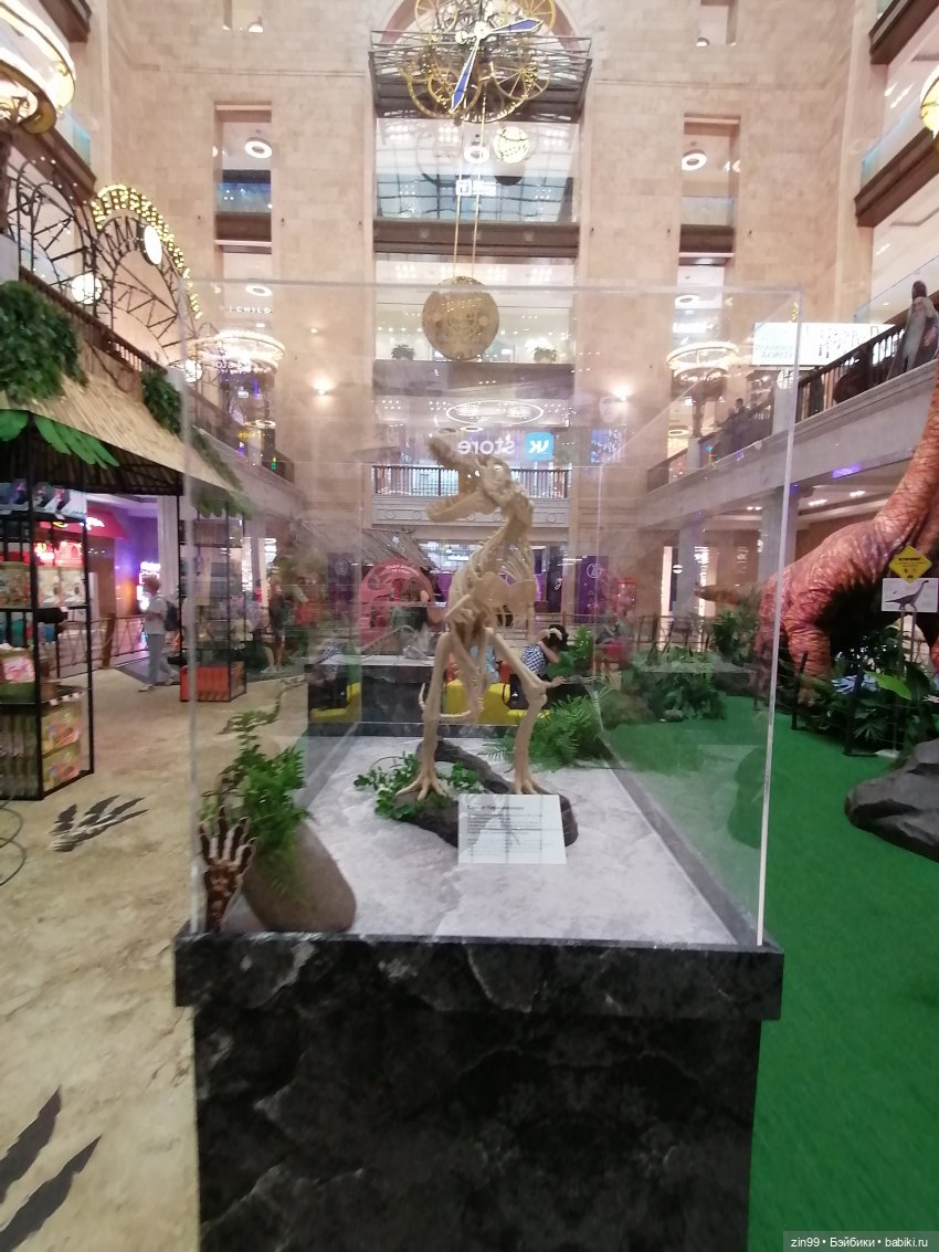 Прогулка по детскому магазину (фото 5)