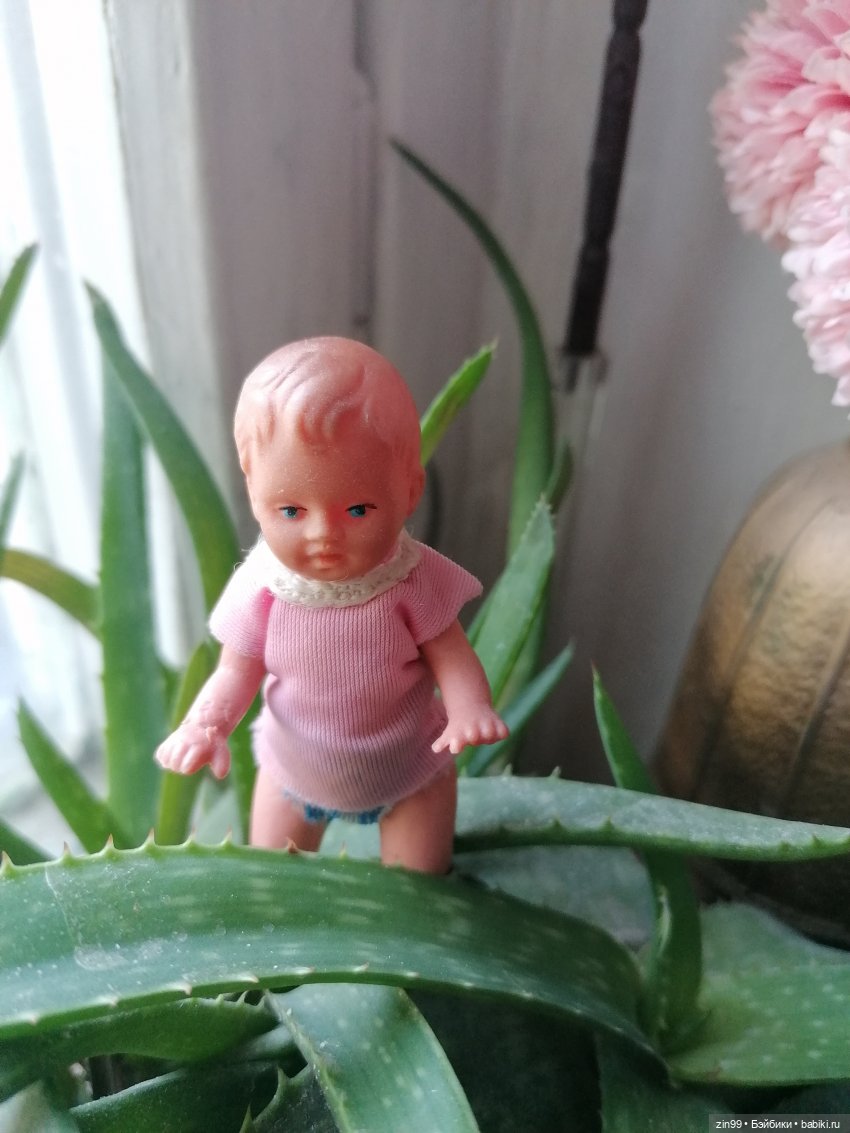 Комнатные растения и куколки (фото 8)