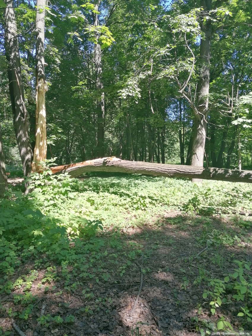 Близняшки Holly-две — Куклы Rainbow High (Рейнбоу Хай (фото 2)