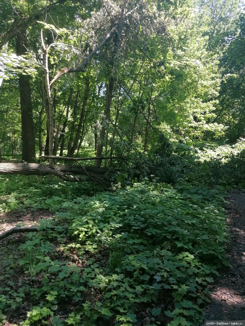 Близняшки Holly-две — Куклы Rainbow High (Рейнбоу Хай (фото 3)