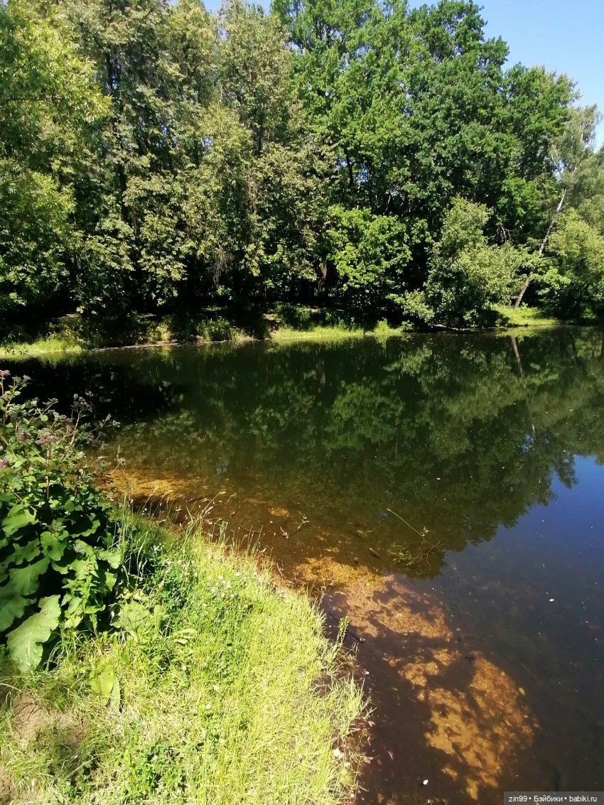 Близняшки Holly-две — Куклы Rainbow High (Рейнбоу Хай