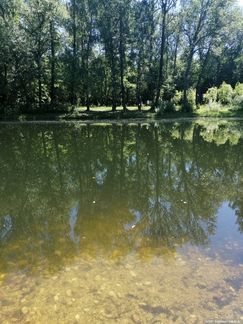 Близняшки Holly-две — Куклы Rainbow High (Рейнбоу Хай