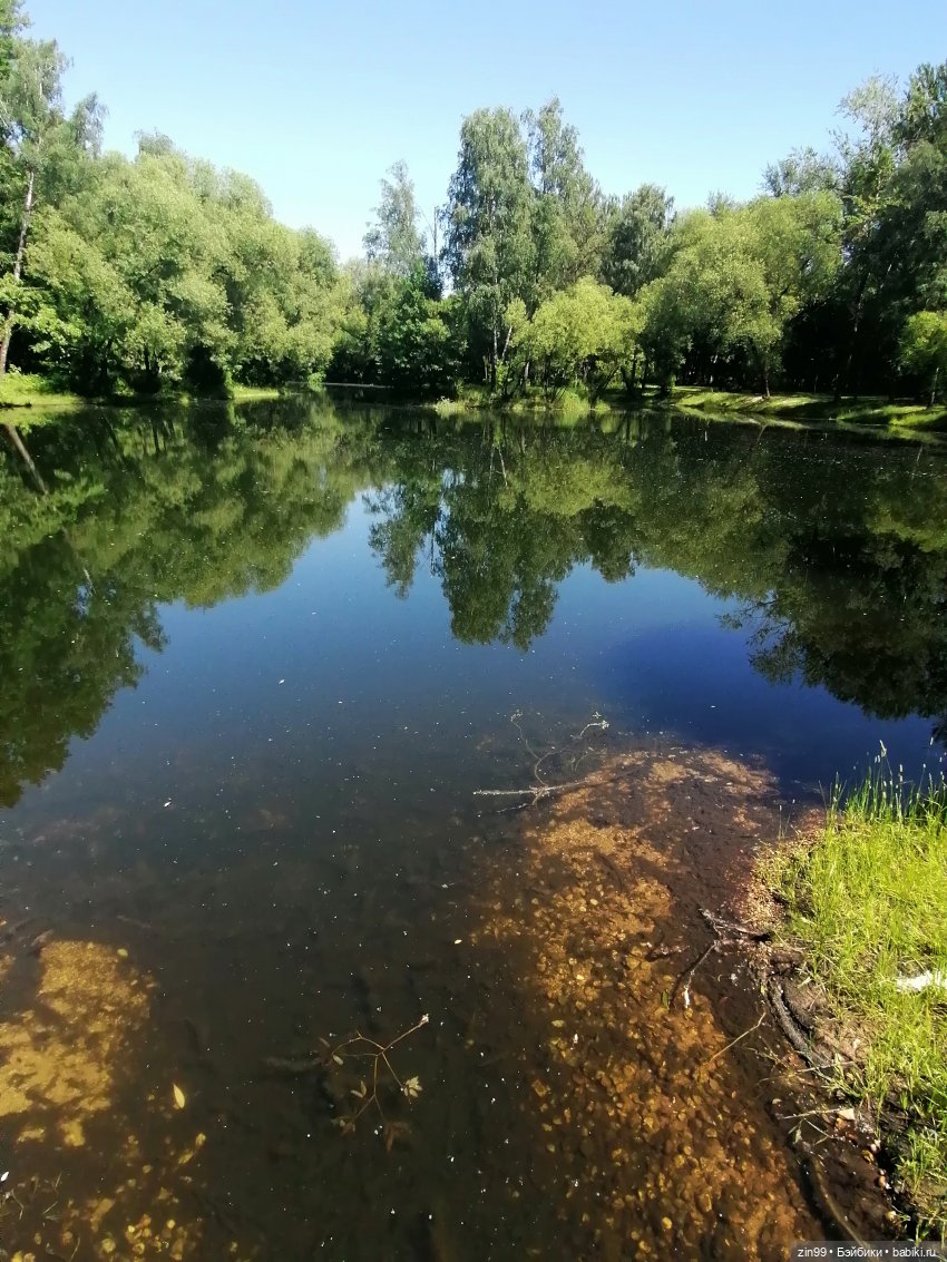 Близняшки Holly-две — Куклы Rainbow High (Рейнбоу Хай