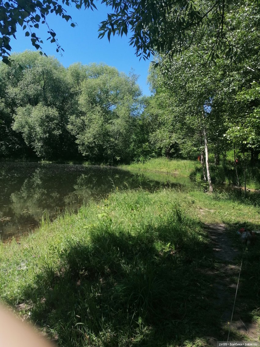 Близняшки Holly-две — Куклы Rainbow High (Рейнбоу Хай