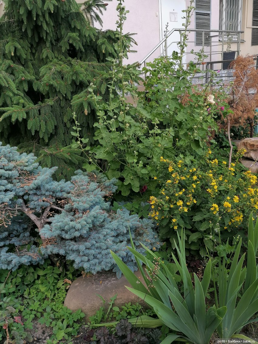 Оливия Вудс — Куклы Rainbow High (Рейнбоу Хай