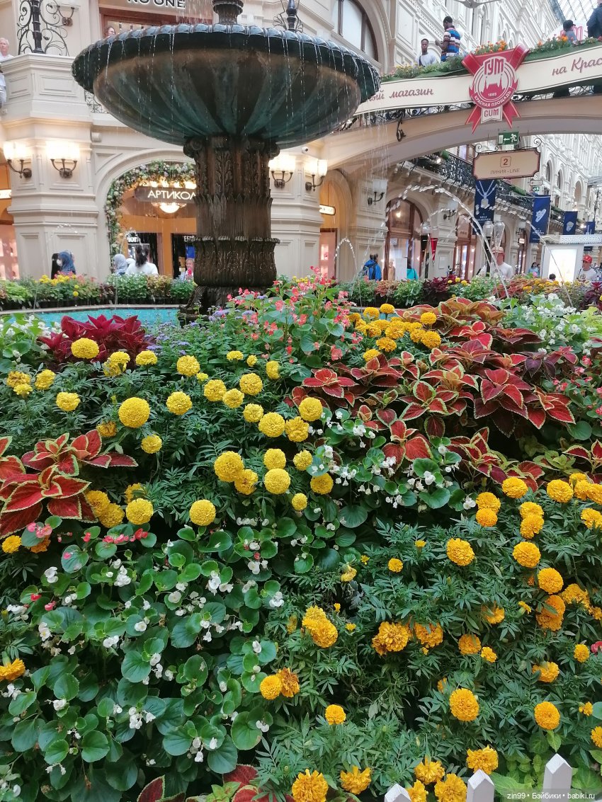 ГУМ и Детский ГУМ прогулка (фото 5)