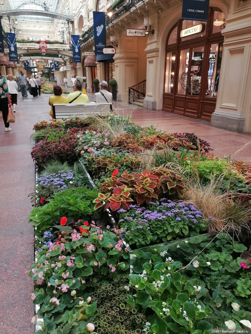 ГУМ и Детский ГУМ прогулка