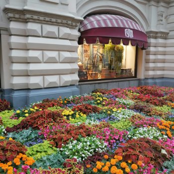 ГУМ и Детский ГУМ прогулка