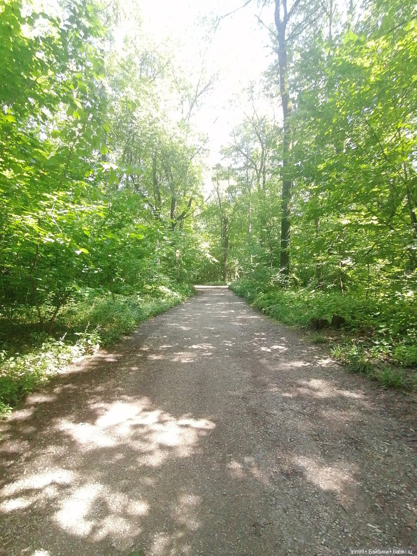 Главный Ботанический сад и ВДНХ