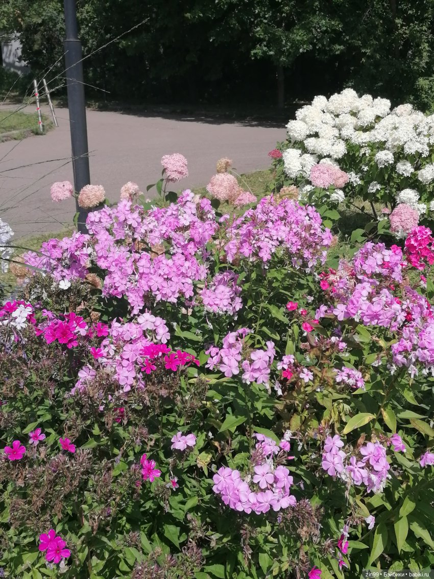 Главный Ботанический сад и ВДНХ