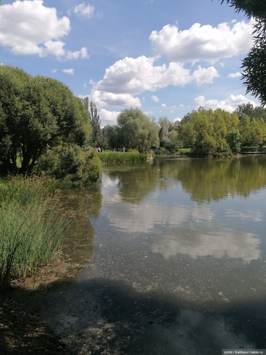 Главный Ботанический сад и ВДНХ