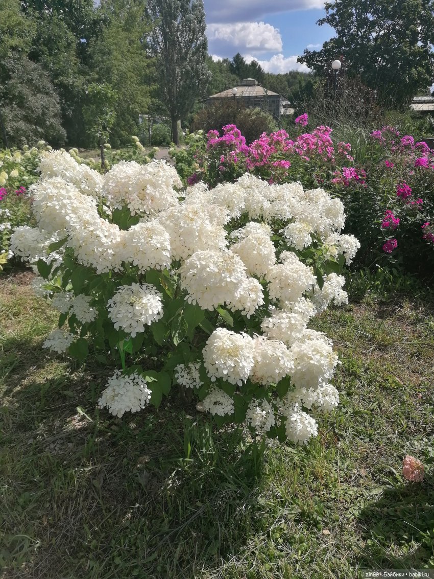 Главный Ботанический сад и ВДНХ