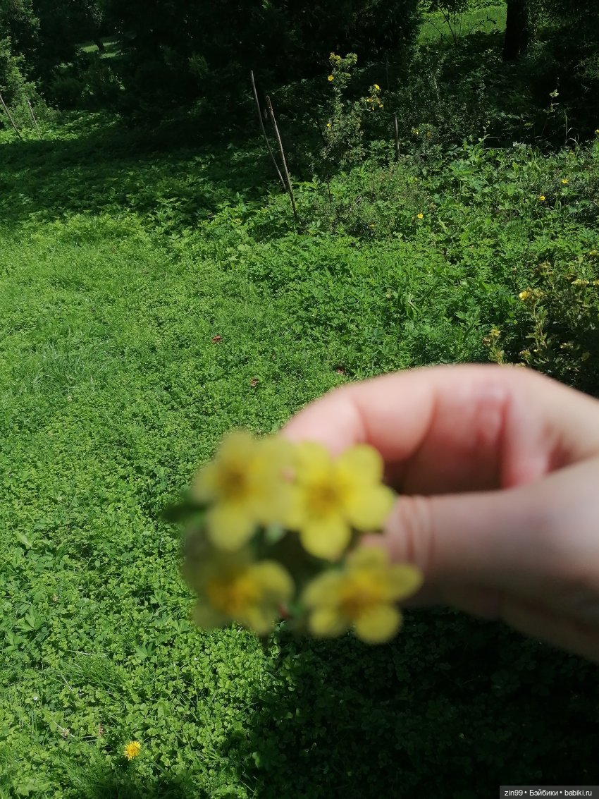 Главный Ботанический сад и ВДНХ
