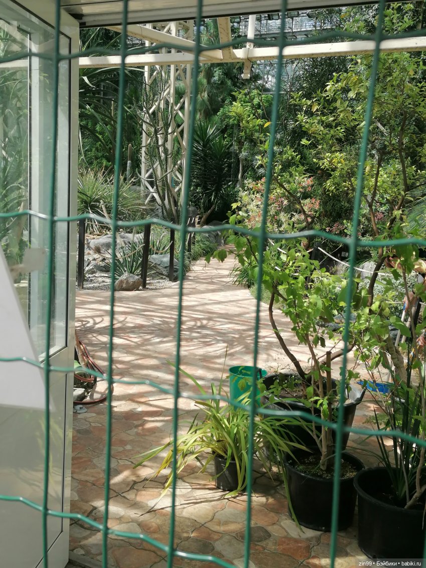 Главный Ботанический сад и ВДНХ