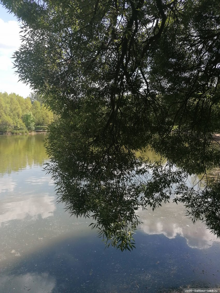 Главный Ботанический сад и ВДНХ