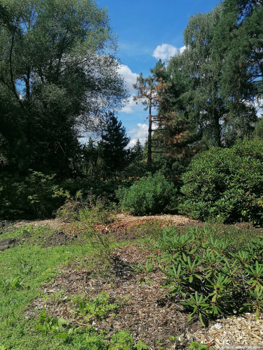 Главный Ботанический сад и ВДНХ