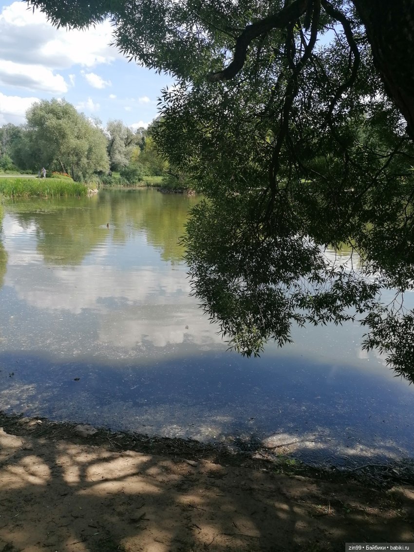 Главный Ботанический сад и ВДНХ