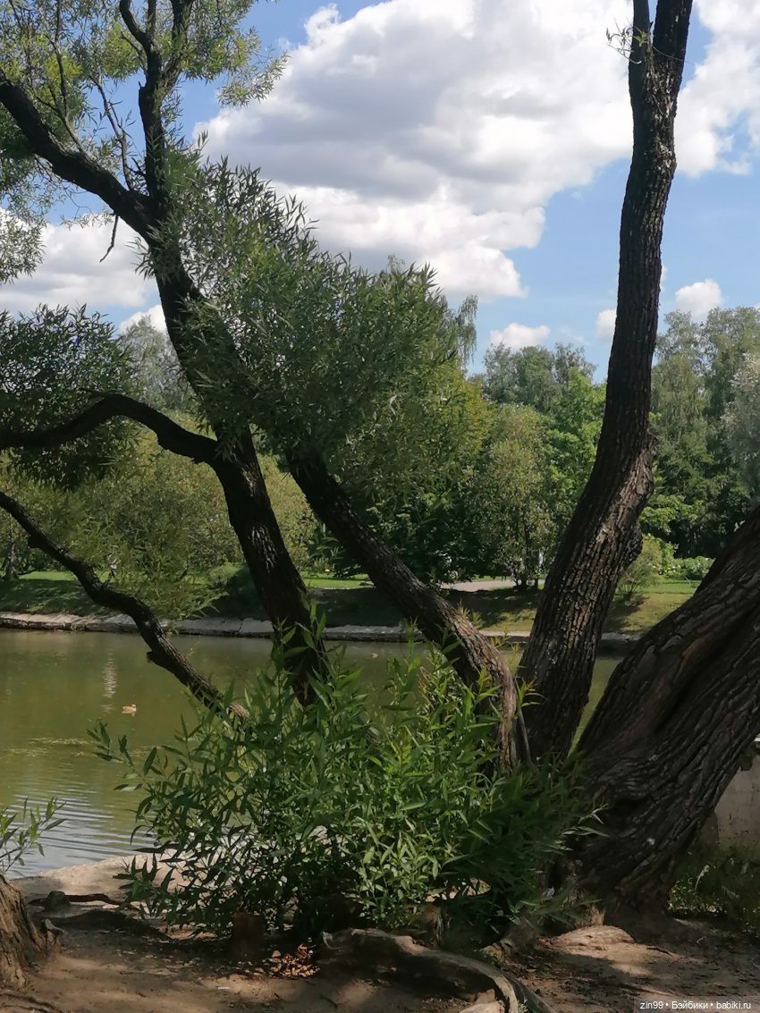 Главный Ботанический сад и ВДНХ