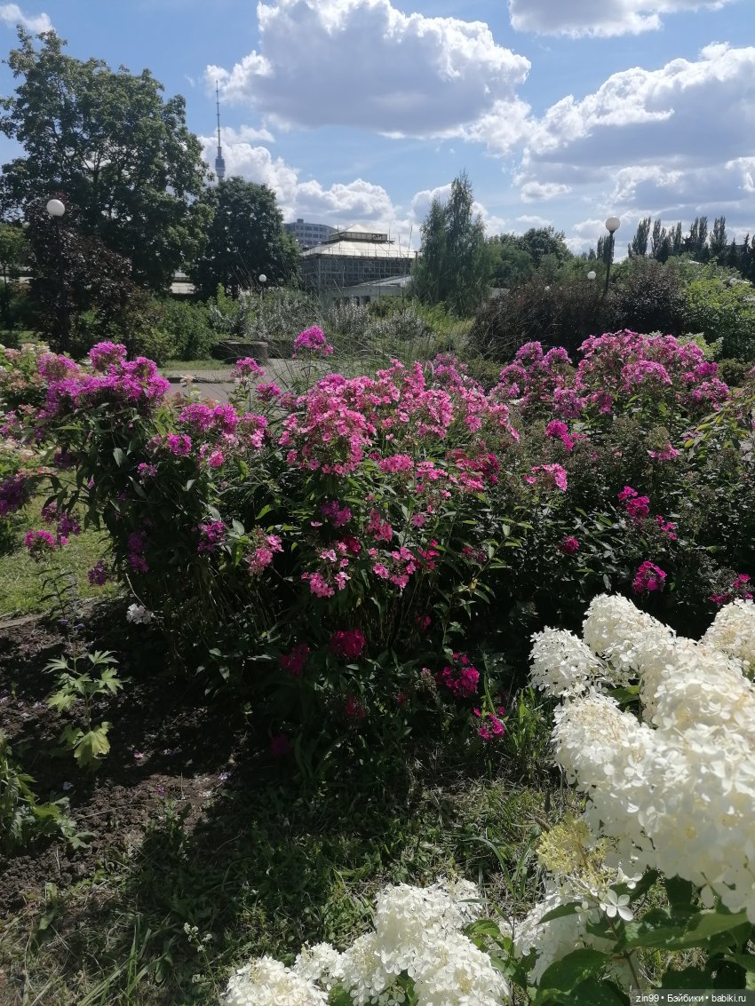 Главный Ботанический сад и ВДНХ