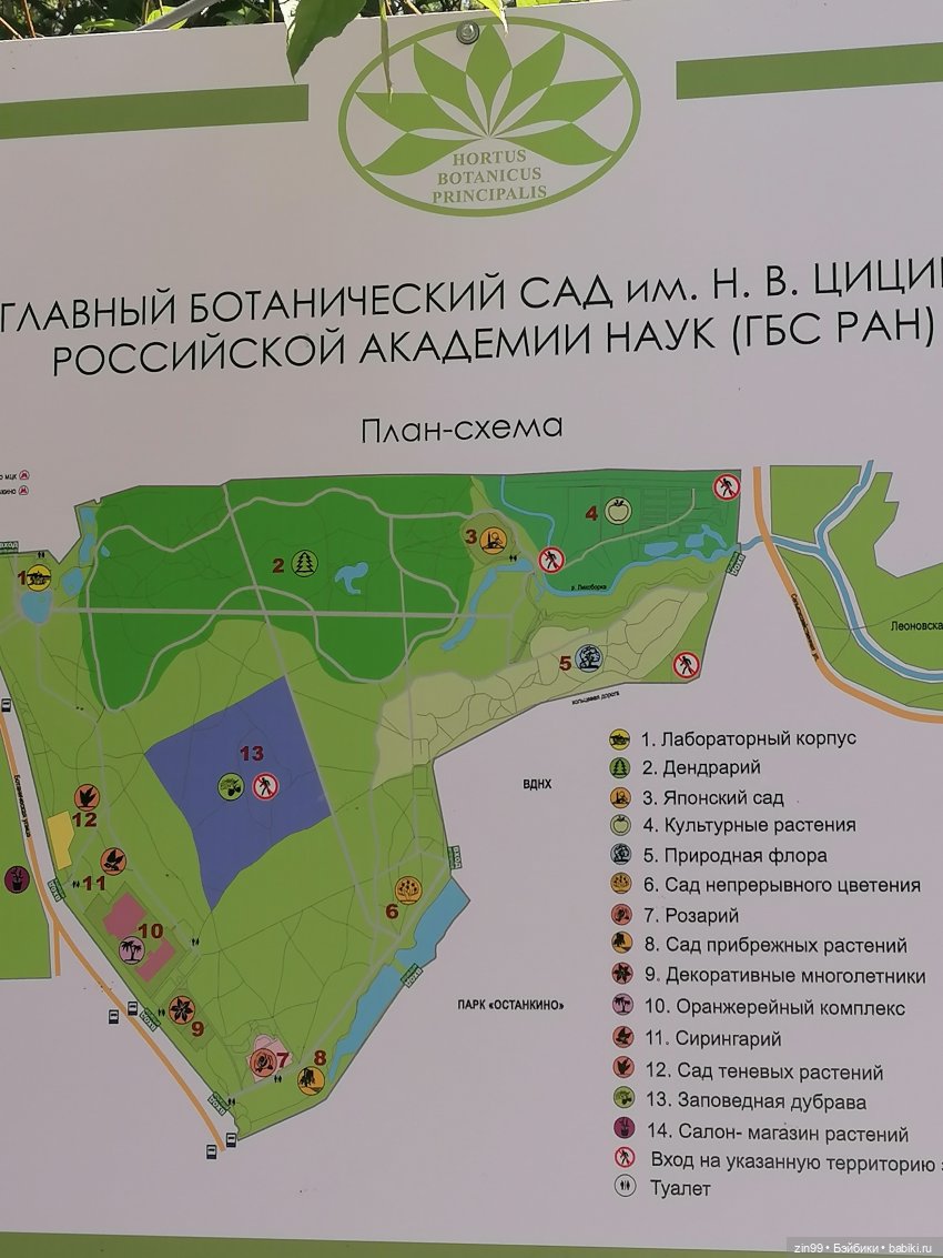 Главный Ботанический сад и ВДНХ