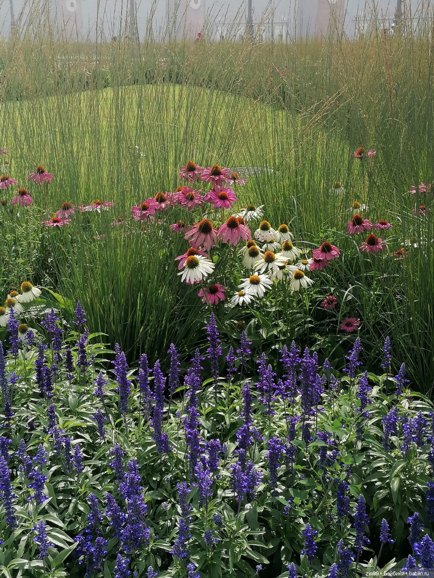 Главный Ботанический сад и ВДНХ