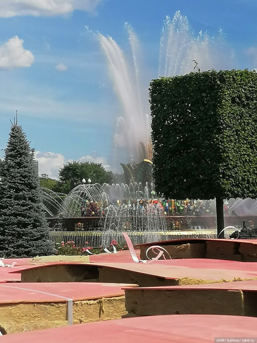 Главный Ботанический сад и ВДНХ