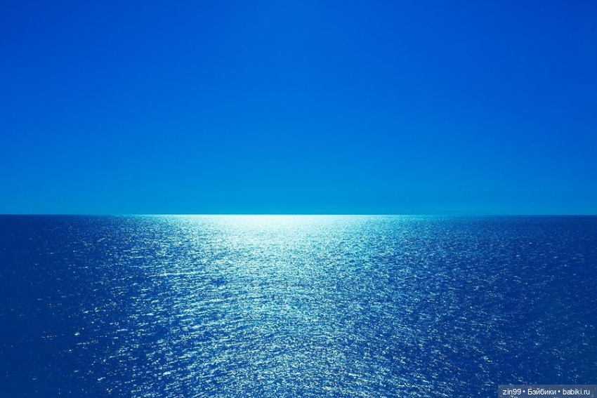 Голубой, синий и Дубрава — Куклы Rainbow High (Рейнбоу Хай