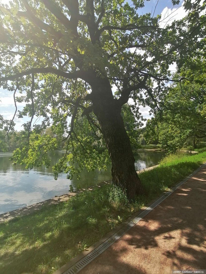 Голубой, синий и Дубрава — Куклы Rainbow High (Рейнбоу Хай