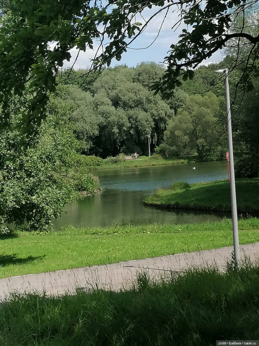 Голубой, синий и Дубрава — Куклы Rainbow High (Рейнбоу Хай