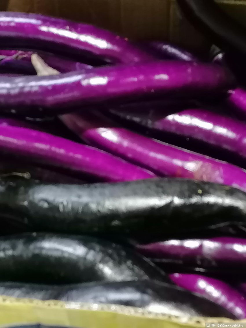 Садовод, Птичий рынок — Куклы Baboliy (Баболи