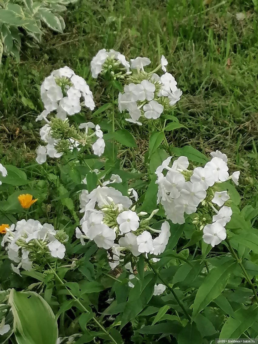 Кукла Rainbow Vision Тесса Парк