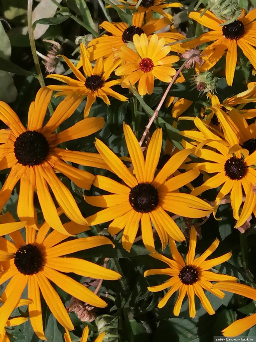 Кукла Rainbow Vision Тесса Парк