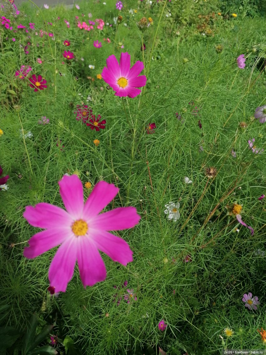 Кукла Rainbow Vision Тесса Парк