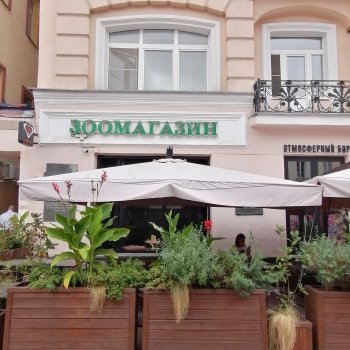 Арбат и котики