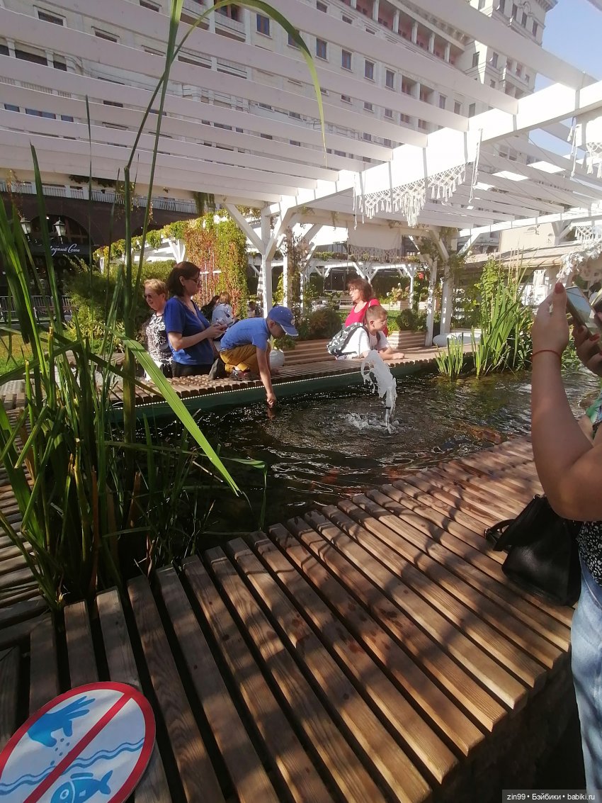 День города, да нет, Фестиваль лета и цветов, Да