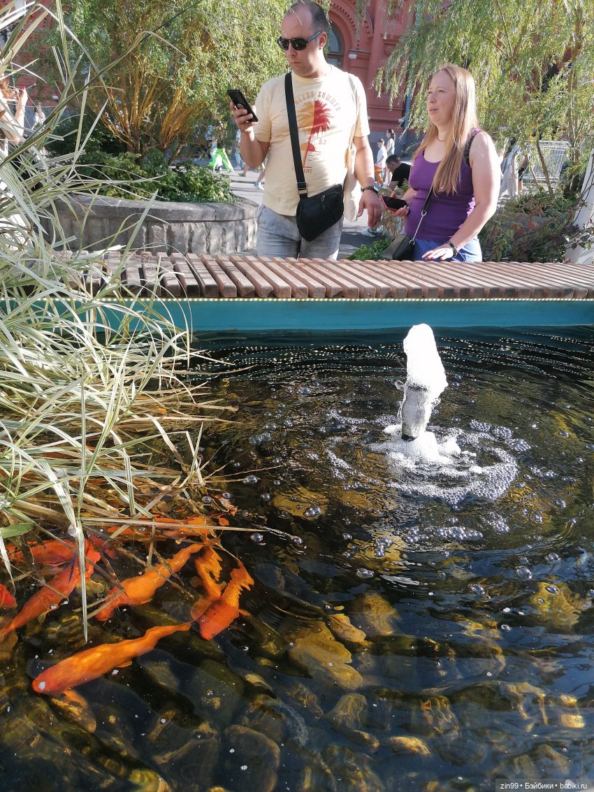 День города, да нет, Фестиваль лета и цветов, Да