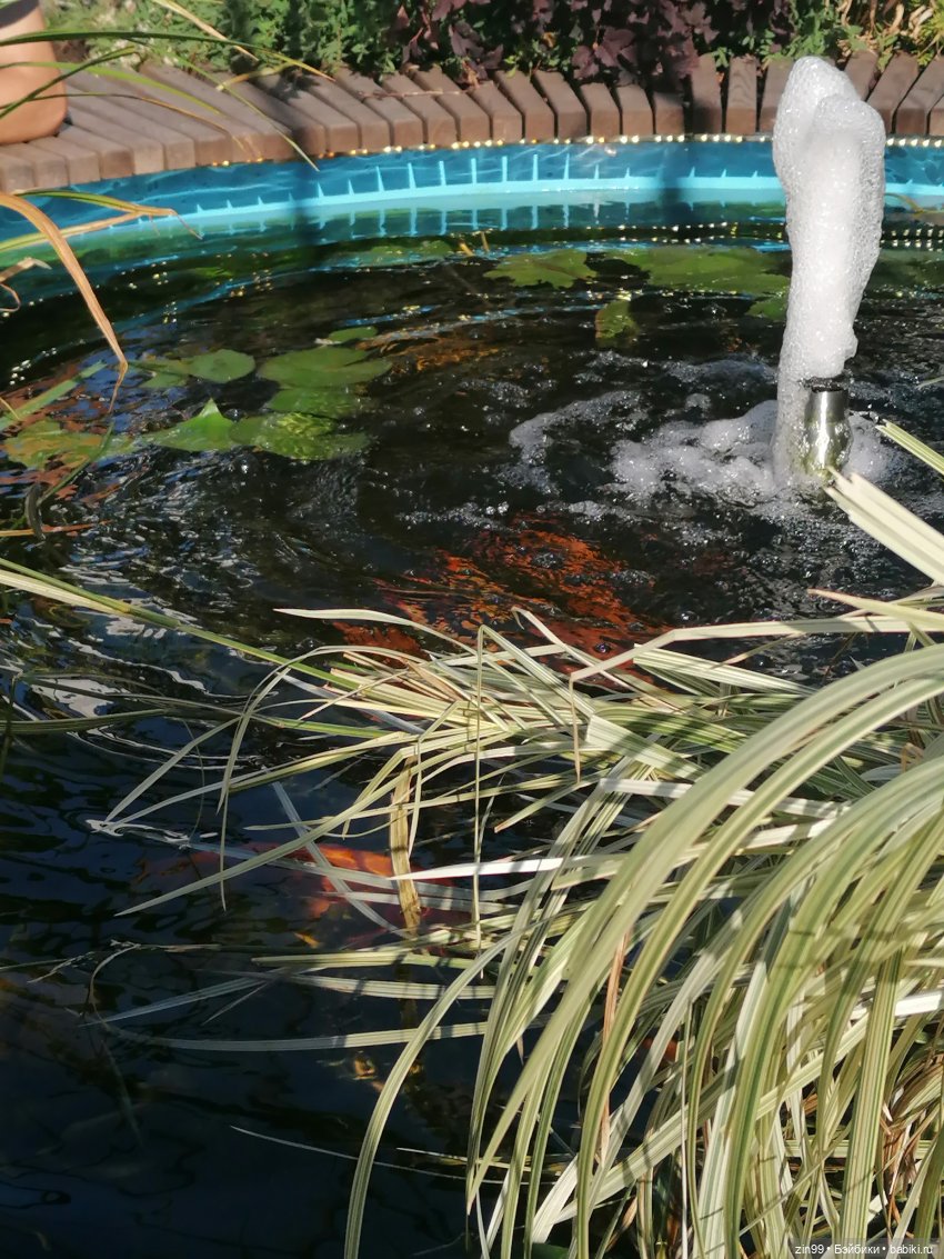 День города, да нет, Фестиваль лета и цветов, Да