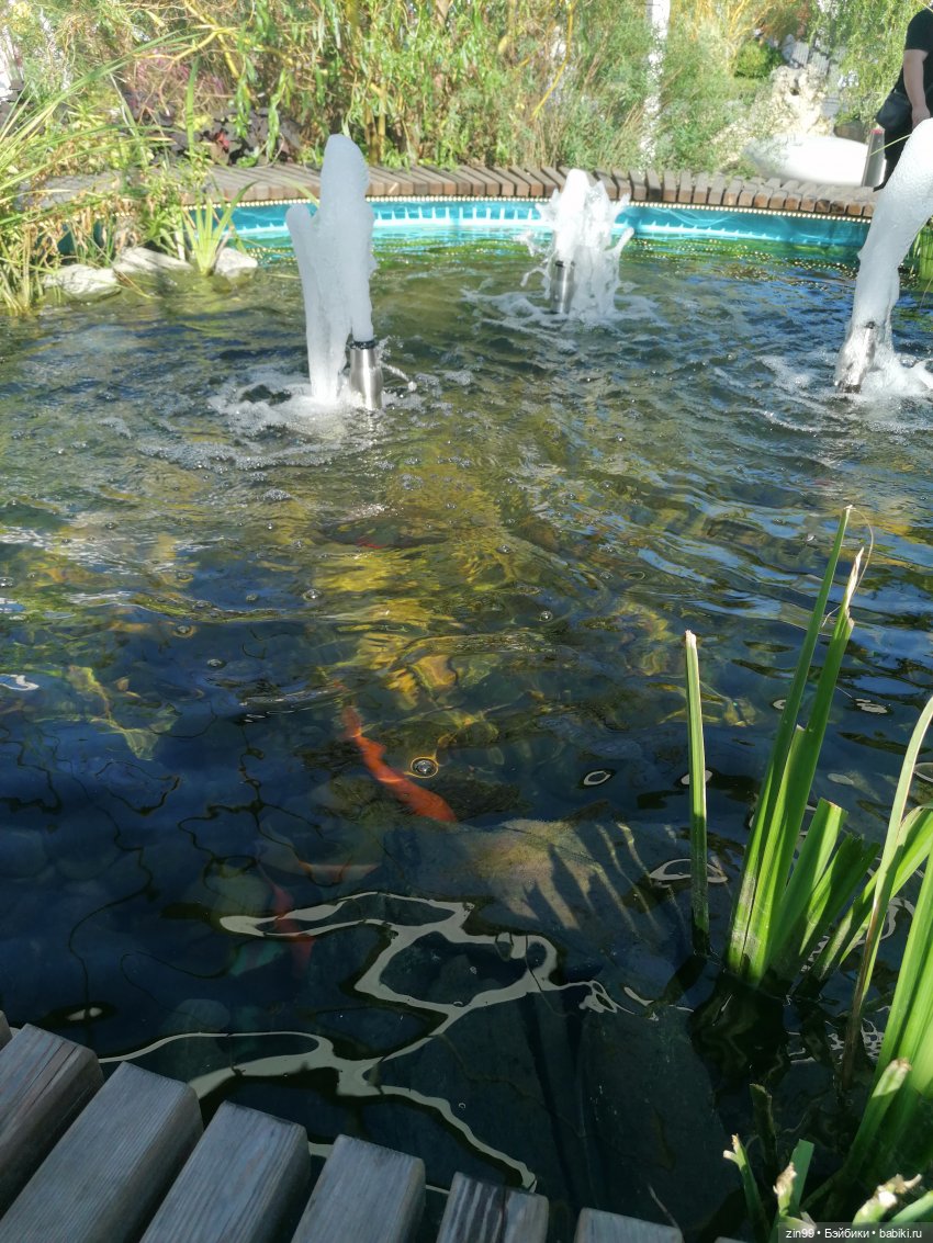 День города, да нет, Фестиваль лета и цветов, Да