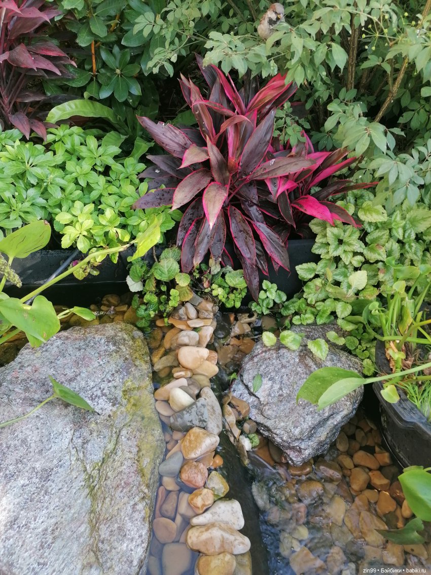 День города, да нет, Фестиваль лета и цветов, Да