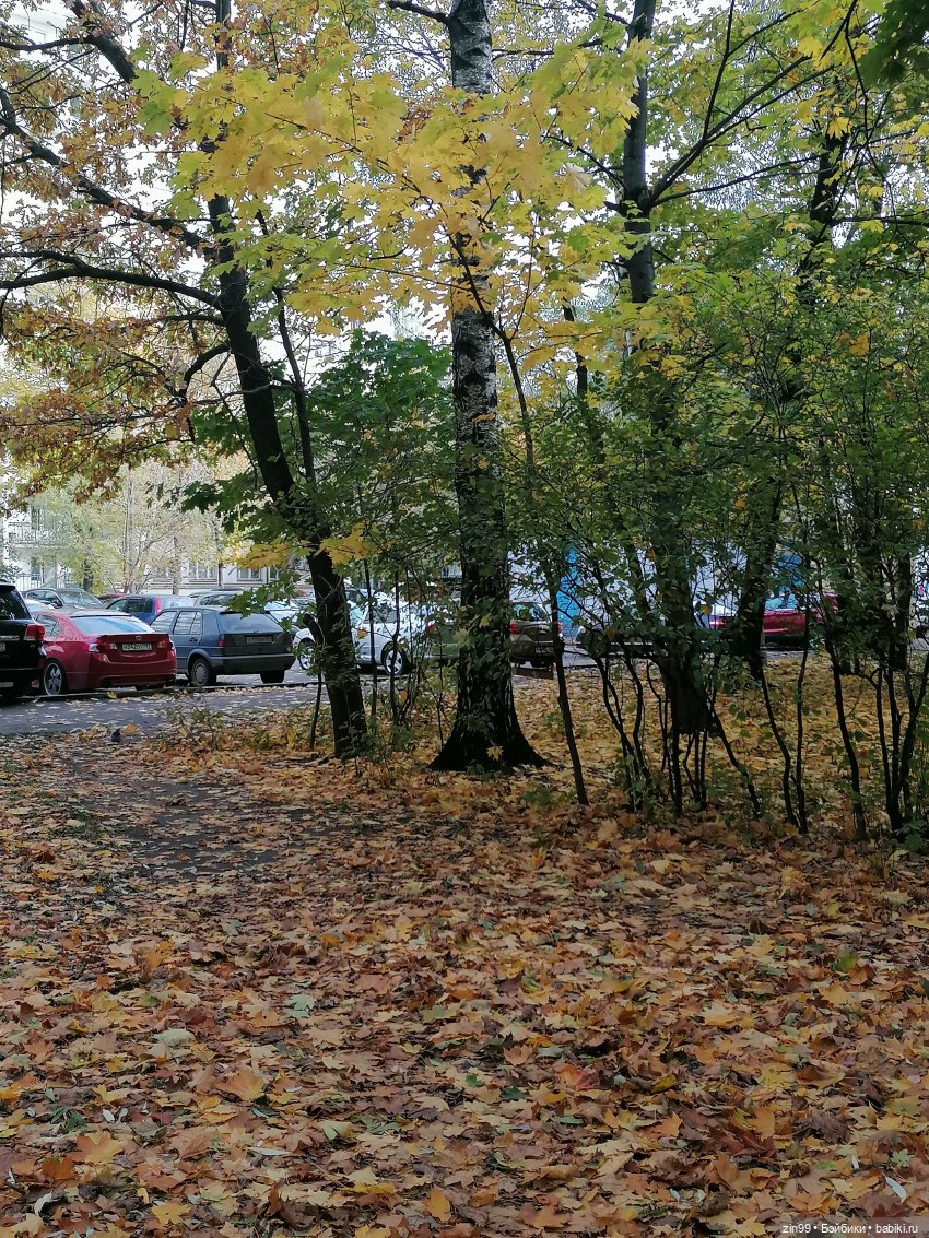 Осень и девочка Алиса — Игровые куклы разных производителей (Разное): редкие бренды