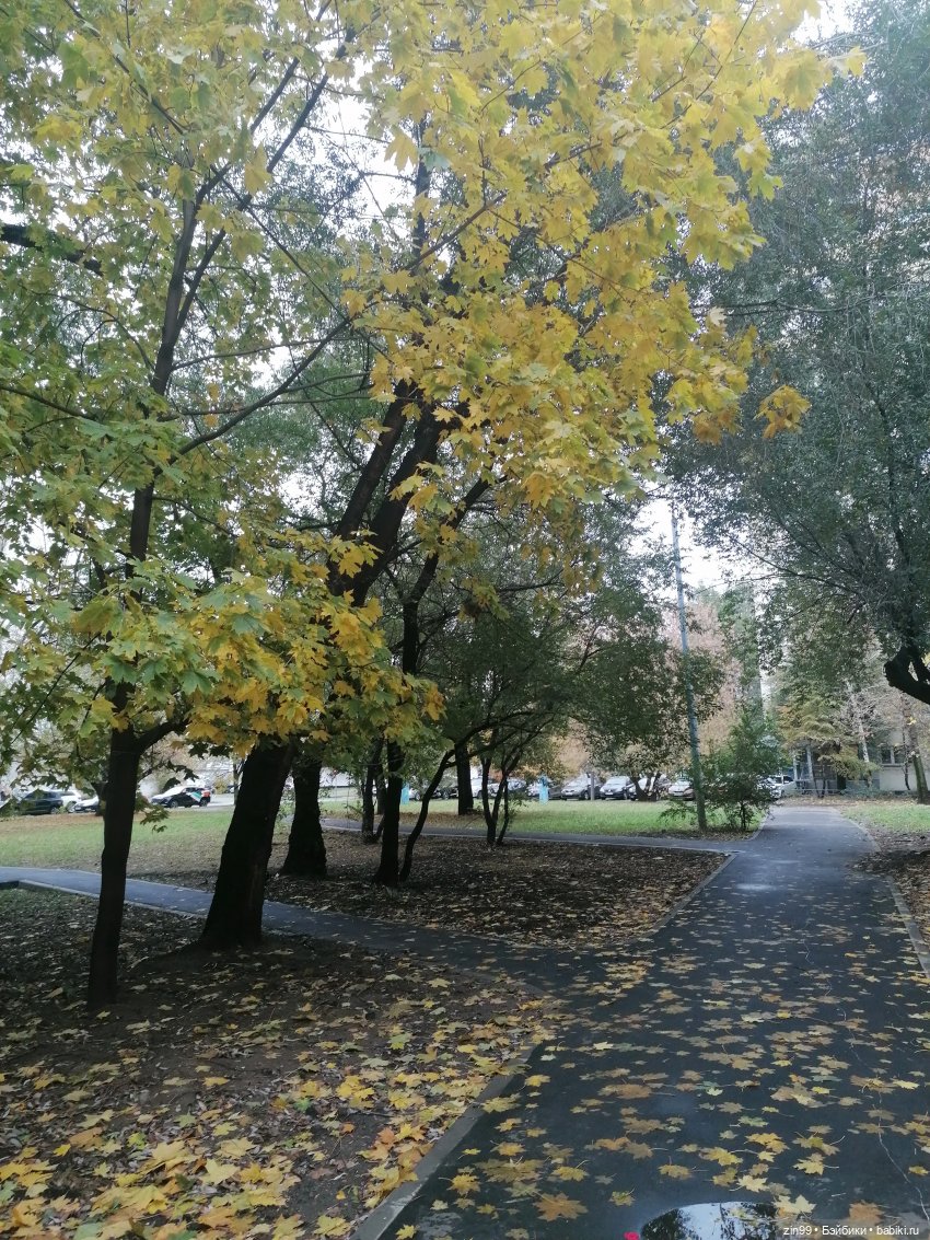 Осень и девочка Алиса — Игровые куклы разных производителей (Разное): редкие бренды (фото 7)