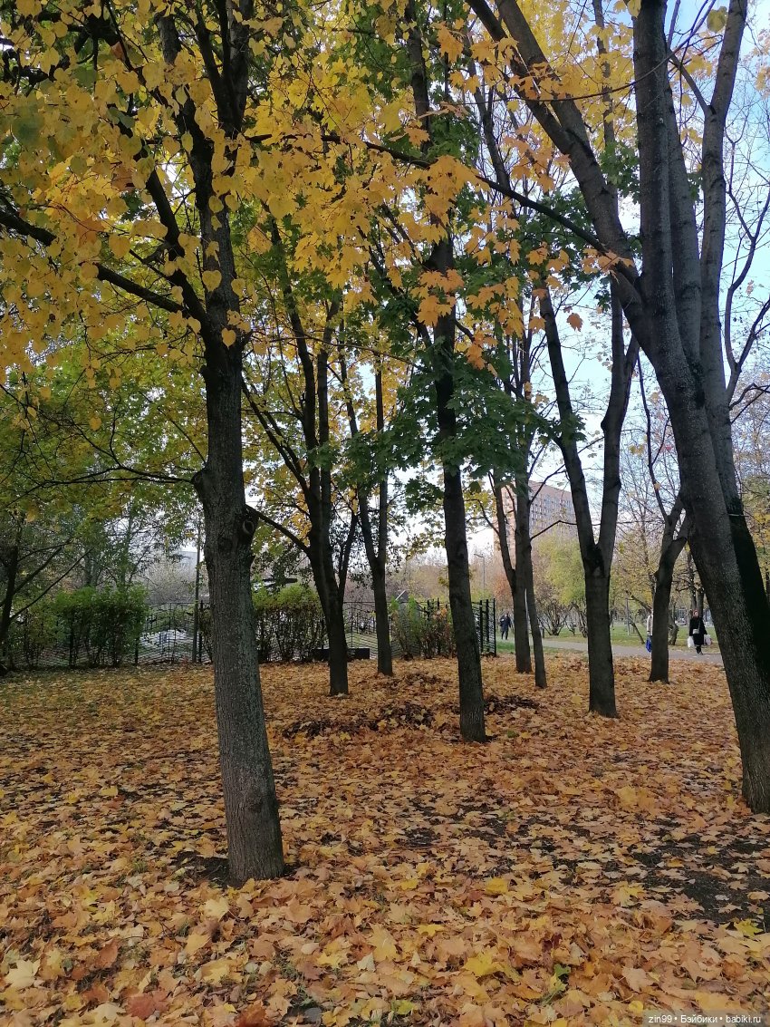 Осень и девочка Алиса — Игровые куклы разных производителей (Разное): редкие бренды