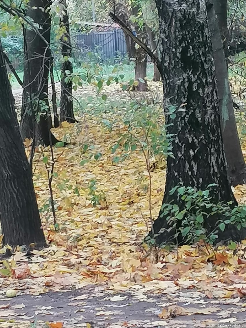 Осень и девочка Алиса — Игровые куклы разных производителей (Разное): редкие бренды