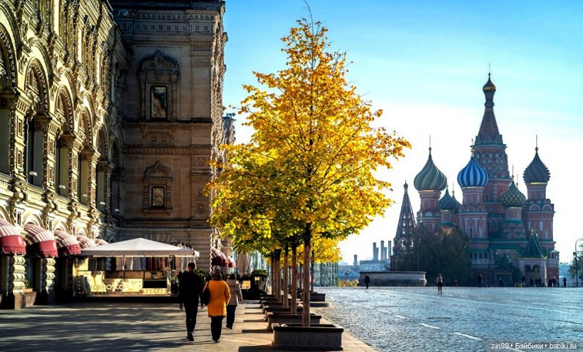 Московская Осень в парках и аллеях (фото 9)