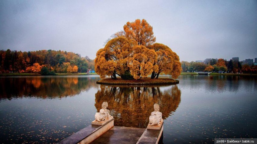 Московская Осень в парках и аллеях