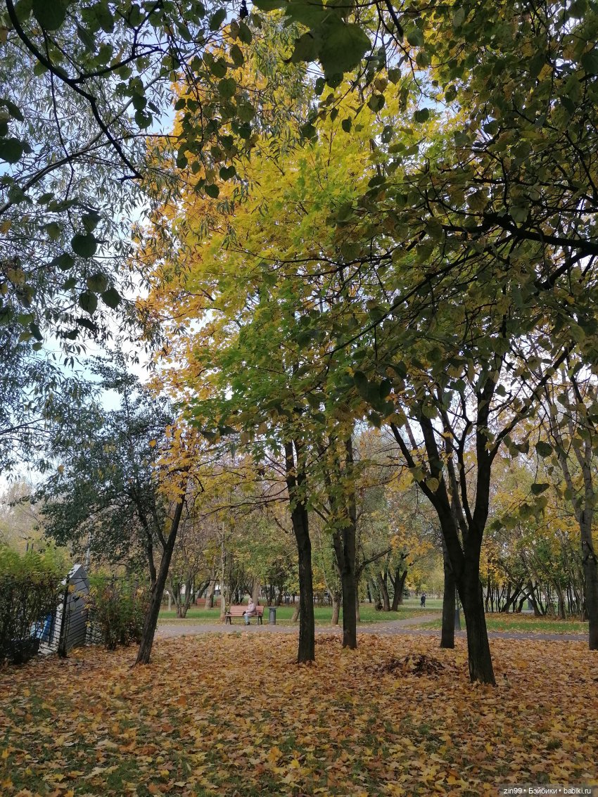 Московская Осень в парках и аллеях (фото 7)