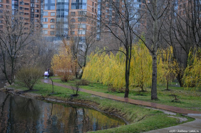 Московская Осень в парках и аллеях